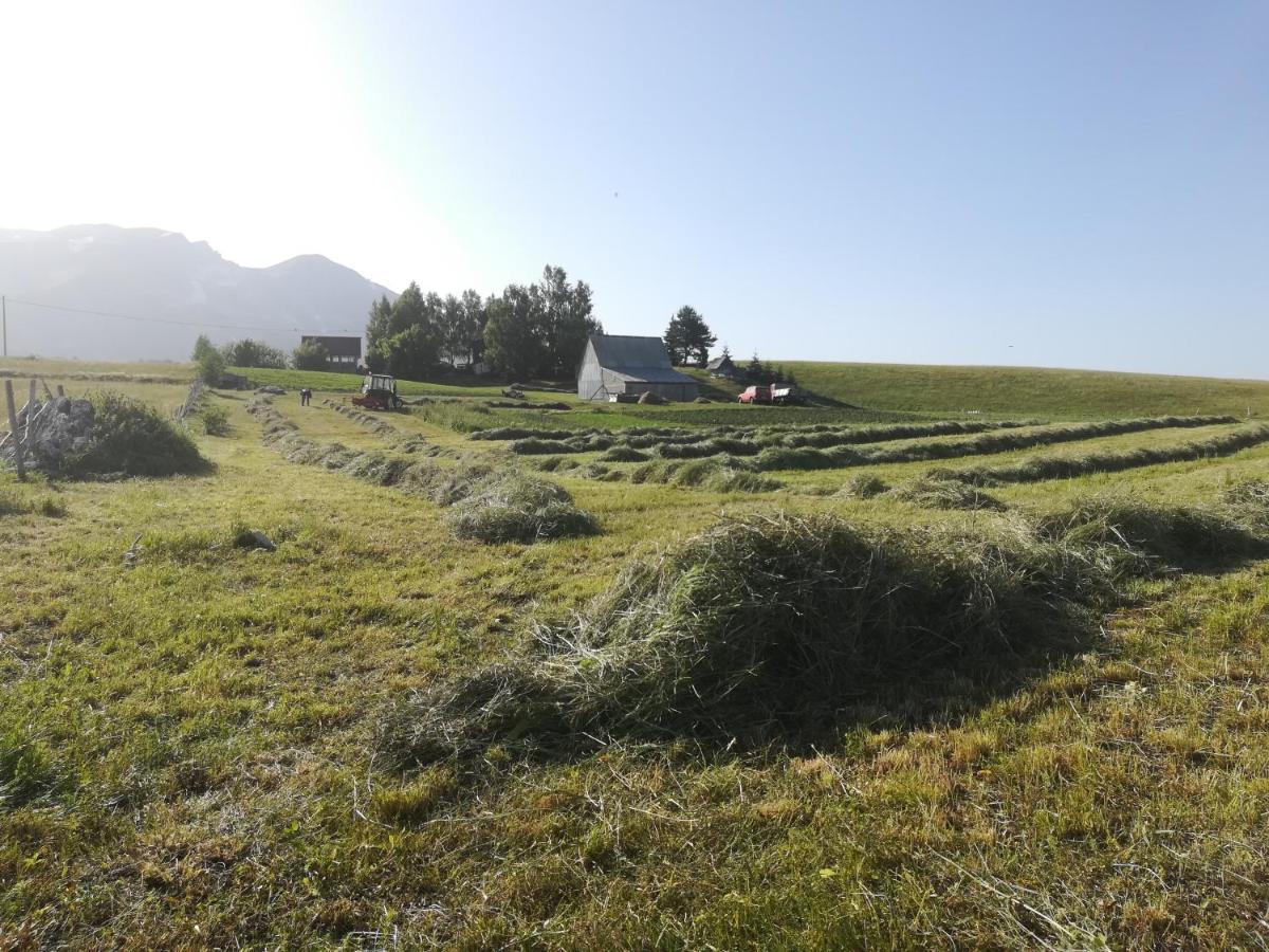 Organic Family Farm Hotel Zabljak  Exterior photo