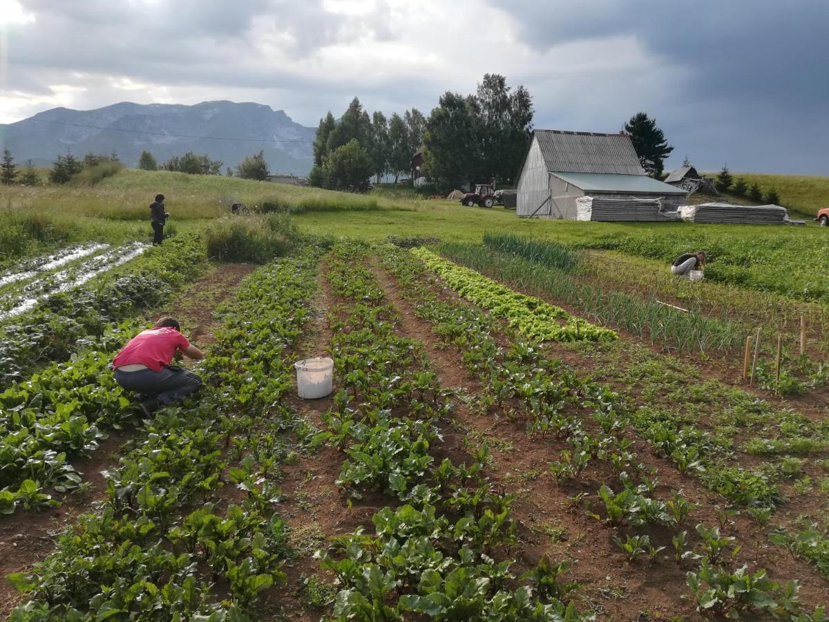 Organic Family Farm Hotel Zabljak  Exterior photo